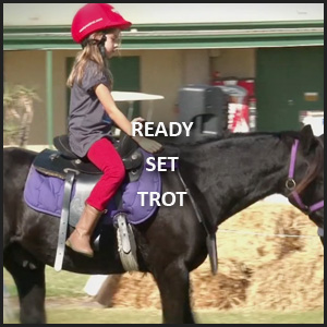 Paul Newport Video Productions of the Ready Set Trot Program